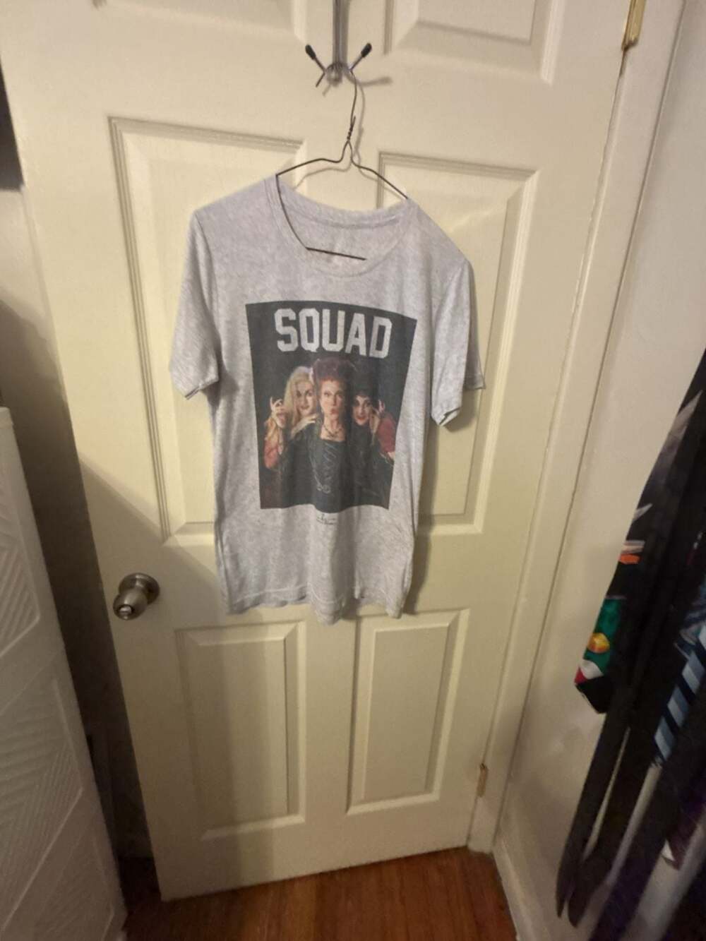 Hippie Runner Hocus Pocus Sanderson Sisters Squad Graphic T-Shirt Gray